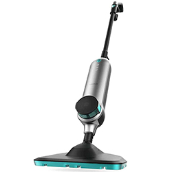 Steam Cleaners