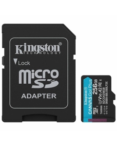 Kingston SDCG4/256GB Canvas Go Plus Micro SD