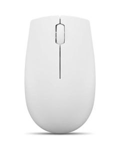 Lenovo 300 Wireless Compact Mouse Cloud Gray (GY51L15677)