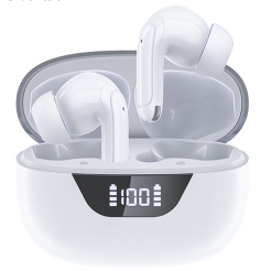 Choetech BH-T60 ENC+ANC with 4 Mics White