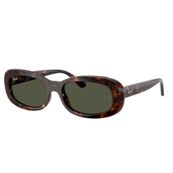 Ray-Ban RB2221 902/31 56 W