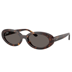Ray-Ban RB2223 902/B1 54 W