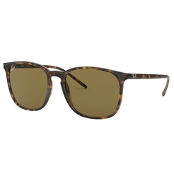 Ray-Ban RB4387 710/73 56 U