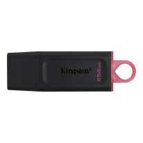 Kingston DTX/256GB USB3.2 GEN1 Datatraveler Exodia