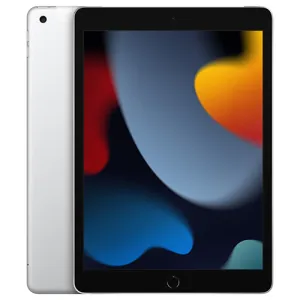 iPad 10.2'' Wi-Fi+Cellular 256GB Silver