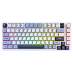 Jedel WKL100 Mechanical Gaming Keyboard RGB Lighting Wired + 2.4ghz+BT Type-C 1.6m
