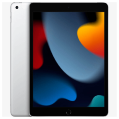 iPad 10.2'' Wi-Fi+Cellular 256GB Silver